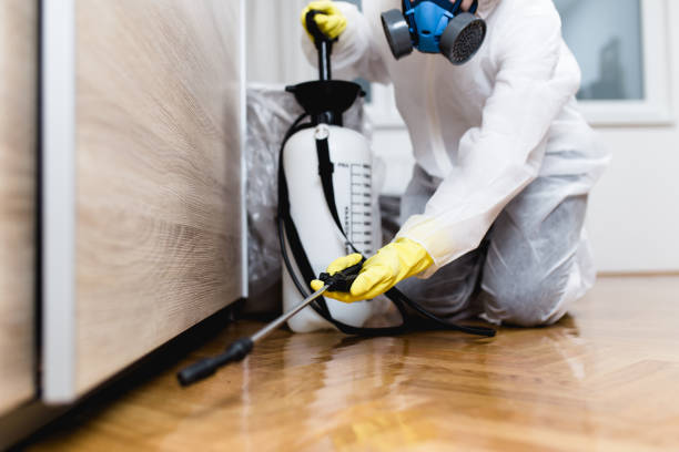 Best Pest Prevention Services  in College Park, MD