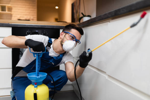 Best Flea Control Services  in College Park, MD