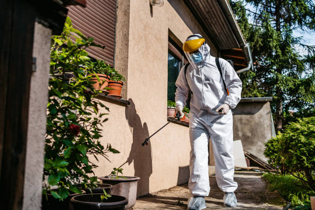 Professional Pest Control in College Park, MD