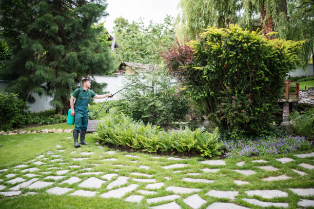 Best Exterminator Services  in College Park, MD