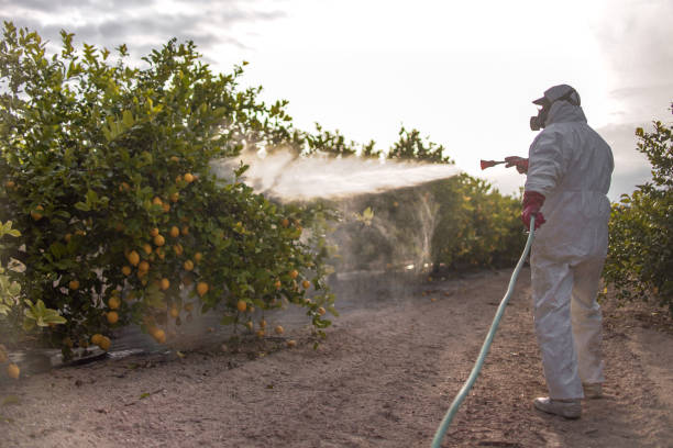 Best Best Pest Control Companies  in College Park, MD
