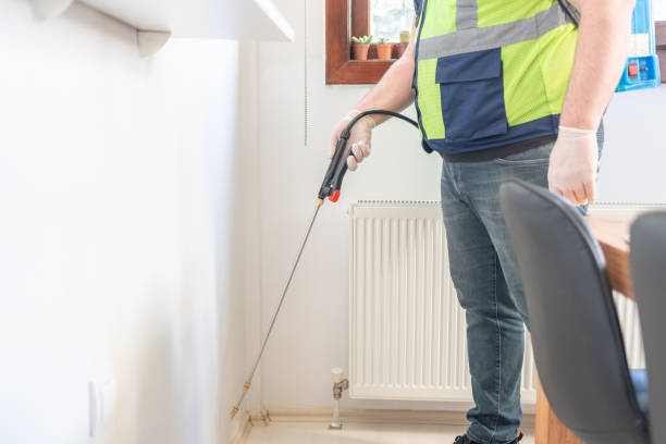 Best Rat Extermination Near Me  in College Park, MD